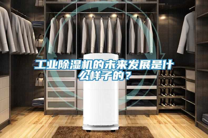 工業(yè)除濕機(jī)的未來(lái)發(fā)展是什么樣子的？