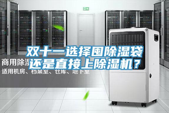雙十一選擇囤除濕袋還是直接上除濕機？