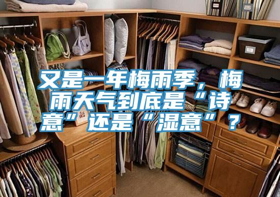 又是一年梅雨季，梅雨天氣到底是“詩意”還是“濕意”？