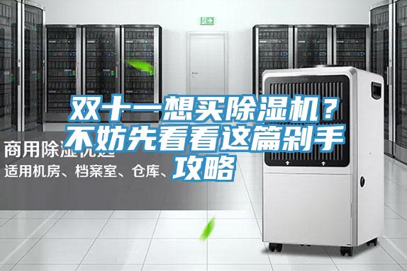 雙十一想買除濕機(jī)？不妨先看看這篇剁手攻略