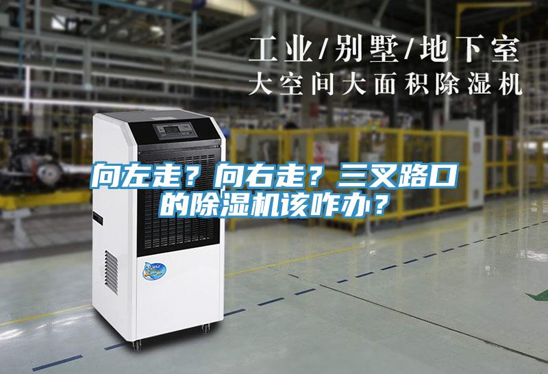 向左走？向右走？三叉路口的除濕機(jī)該咋辦？