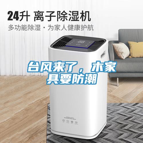 臺風來了，木家具要防潮