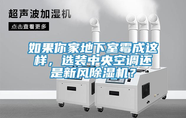 如果你家地下室霉成這樣，選裝中央空調還是新風除濕機？