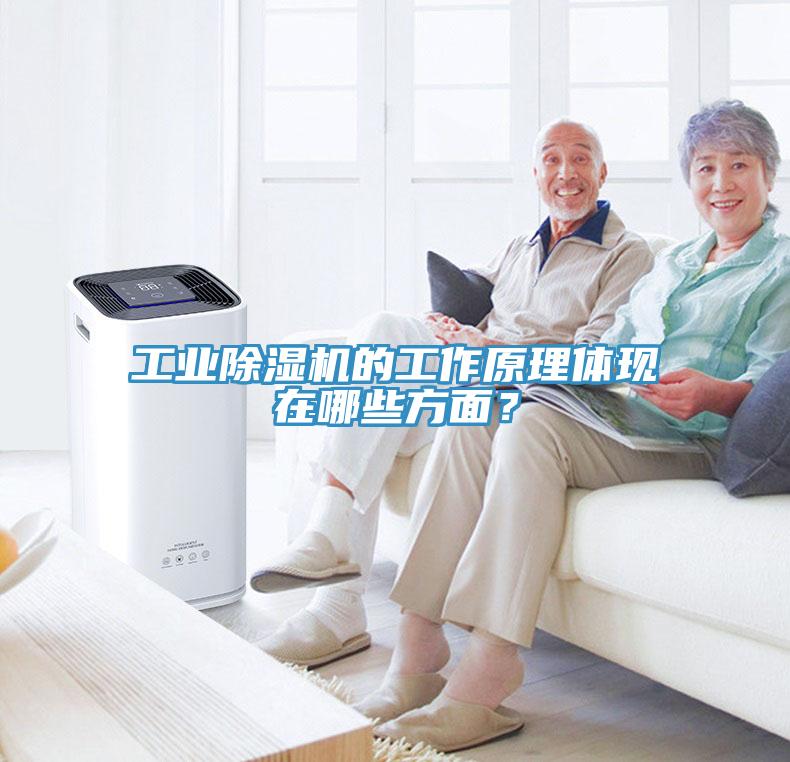 工業(yè)除濕機(jī)的工作原理體現(xiàn)在哪些方面？