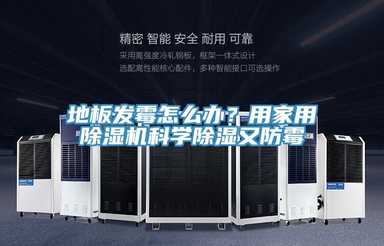 地板發(fā)霉怎么辦？用家用除濕機科學除濕又防霉