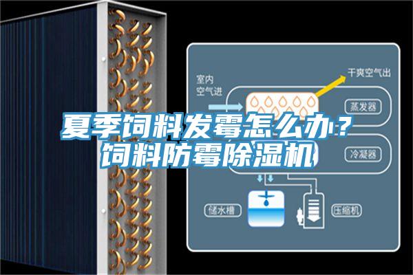 夏季飼料發(fā)霉怎么辦？飼料防霉除濕機