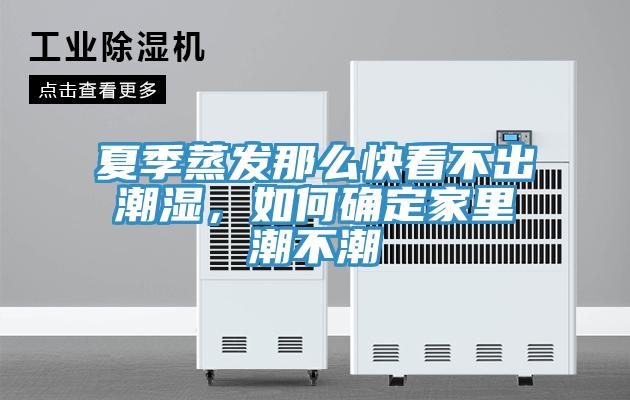 夏季蒸發(fā)那么快看不出潮濕，如何確定家里潮不潮