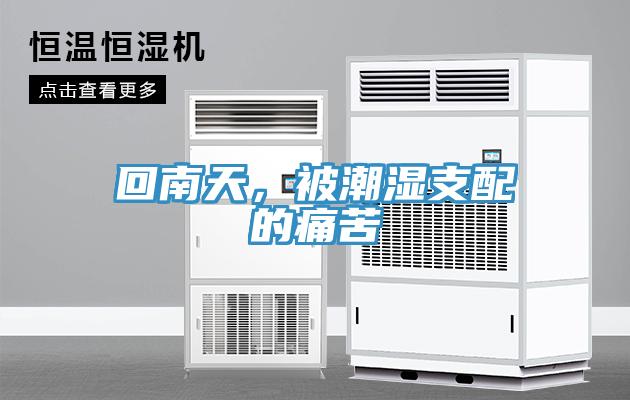 回南天，被潮濕支配的痛苦