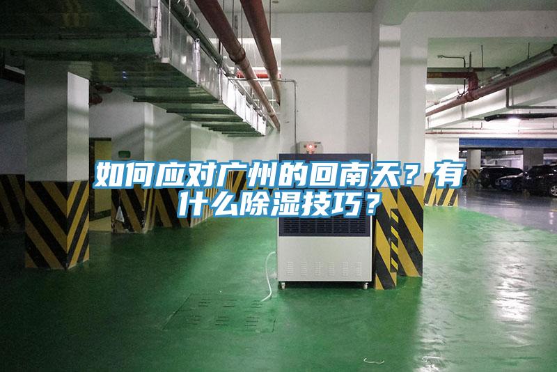如何應對廣州的回南天？有什么除濕技巧？