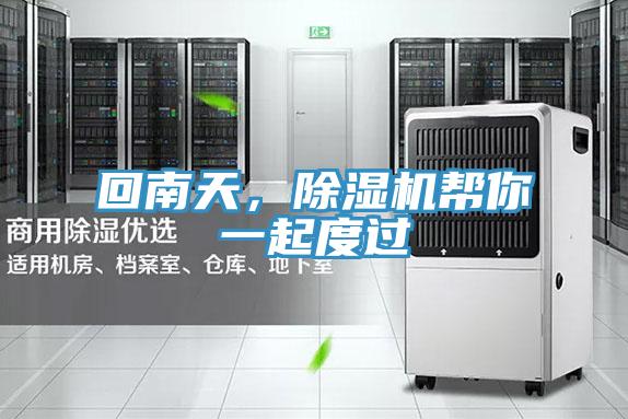 回南天，除濕機幫你一起度過