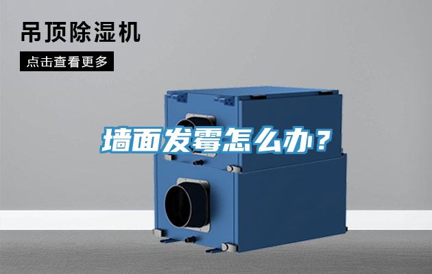 墻面發(fā)霉怎么辦？