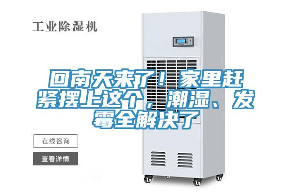 回南天來了！家里趕緊擺上這個，潮濕、發(fā)霉全解決了