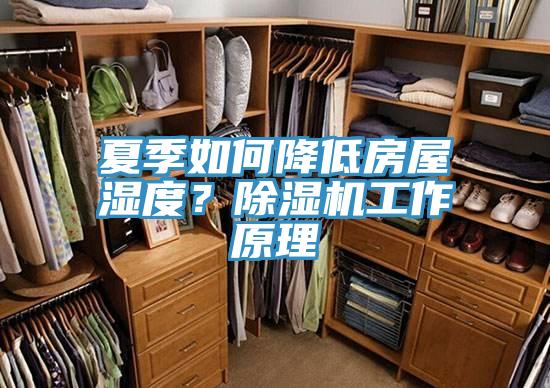 夏季如何降低房屋濕度？除濕機(jī)工作原理