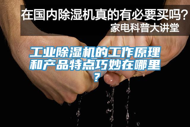 工業(yè)除濕機(jī)的工作原理和產(chǎn)品特點(diǎn)巧妙在哪里？