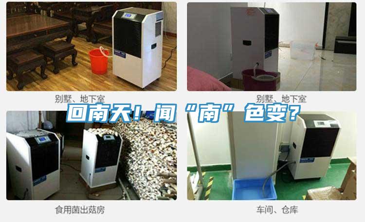 回南天！聞“南”色變？