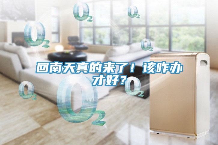 回南天真的來(lái)了！該咋辦才好？