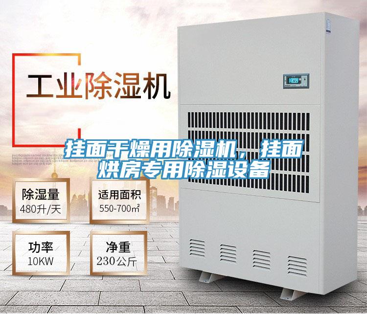 掛面干燥用除濕機(jī)，掛面烘房專用除濕設(shè)備