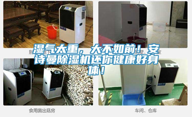 濕氣太重，大不如前！安詩曼除濕機(jī)還你健康好身體！