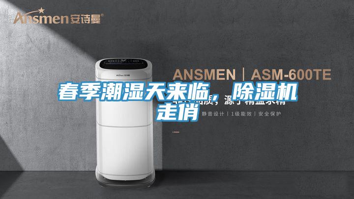 春季潮濕天來(lái)臨，除濕機(jī)走俏