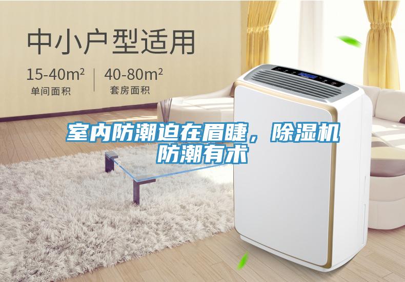 室內(nèi)防潮迫在眉睫，除濕機(jī)防潮有術(shù)