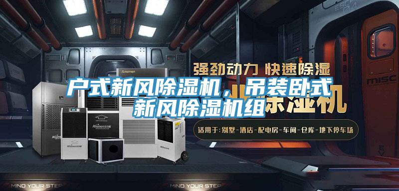 戶式新風(fēng)除濕機(jī)，吊裝臥式新風(fēng)除濕機(jī)組