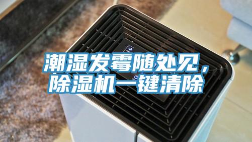 潮濕發(fā)霉隨處見，除濕機一鍵清除
