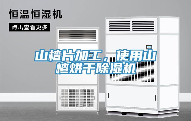 山楂片加工，使用山楂烘干除濕機