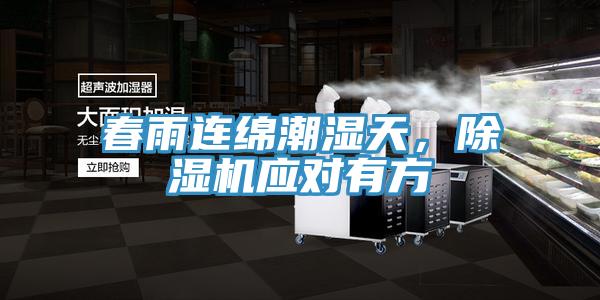 春雨連綿潮濕天，除濕機(jī)應(yīng)對有方