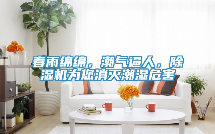 春雨綿綿，潮氣逼人，除濕機為您消滅潮濕危害