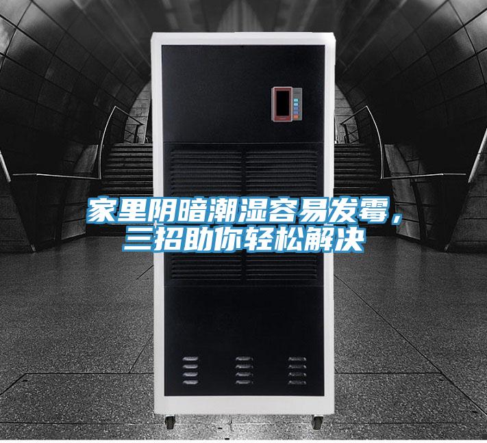家里陰暗潮濕容易發(fā)霉，三招助你輕松解決