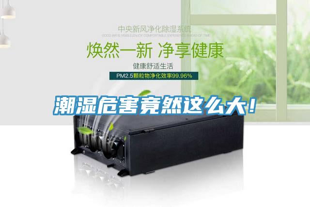 潮濕危害竟然這么大！