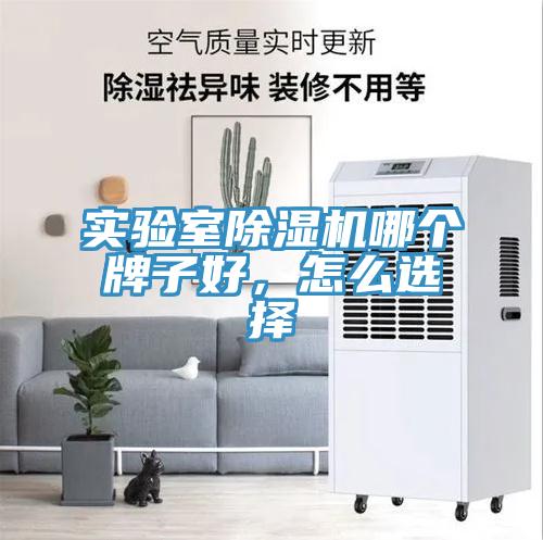 實驗室除濕機哪個牌子好，怎么選擇