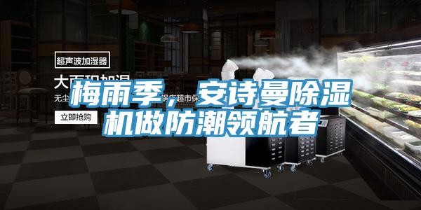 梅雨季，安詩曼除濕機做防潮領航者