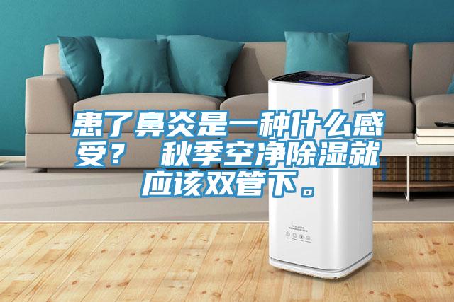 患了鼻炎是一種什么感受？ 秋季空凈除濕就應(yīng)該雙管下。