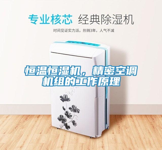 恒溫恒濕機，精密空調(diào)機組的工作原理
