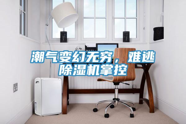 潮氣變幻無窮，難逃除濕機(jī)掌控