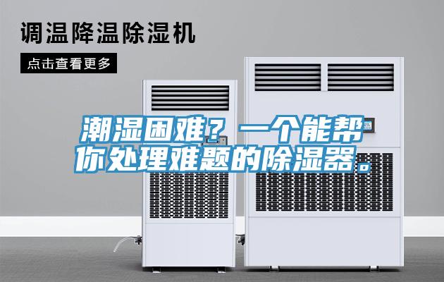 潮濕困難？一個(gè)能幫你處理難題的除濕器。