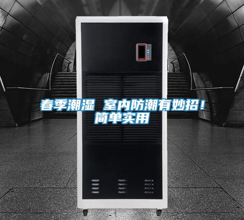 春季潮濕 室內(nèi)防潮有妙招！簡(jiǎn)單實(shí)用