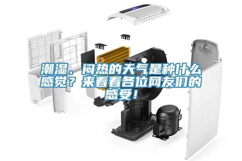 潮濕、悶熱的天氣是種什么感覺？來看看各位網(wǎng)友們的感受！