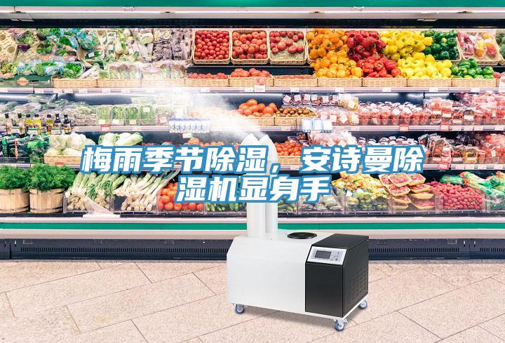 梅雨季節(jié)除濕，安詩(shī)曼除濕機(jī)顯身手