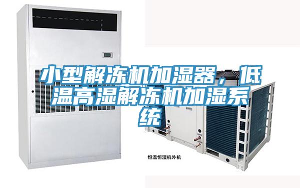 小型解凍機加濕器，低溫高濕解凍機加濕系統(tǒng)