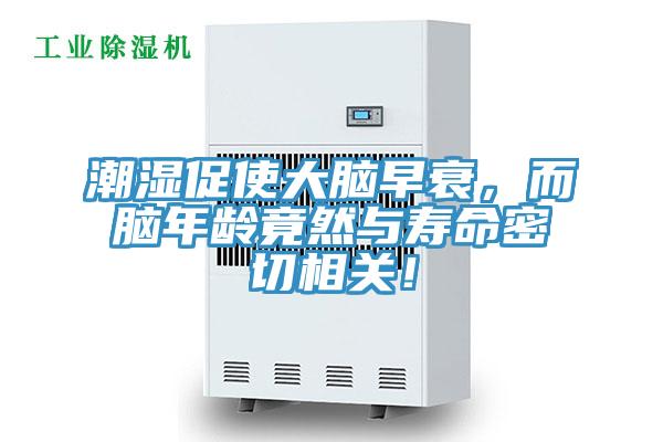 潮濕促使大腦早衰，而腦年齡竟然與壽命密切相關(guān)！