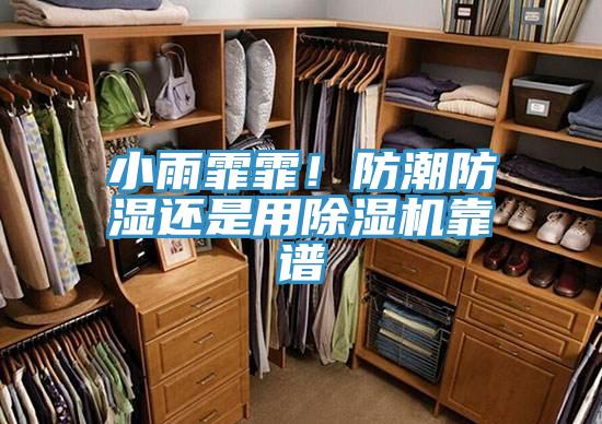 小雨霏霏！防潮防濕還是用除濕機(jī)靠譜