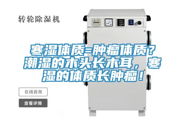 寒濕體質(zhì)=腫瘤體質(zhì)？潮濕的木頭長木耳，寒濕的體質(zhì)長腫瘤！