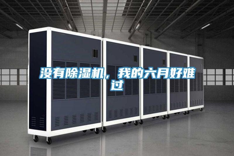 沒有除濕機，我的六月好難過