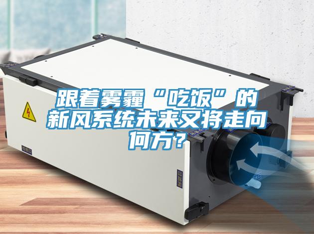 跟著霧霾“吃飯”的新風(fēng)系統(tǒng)未來又將走向何方？