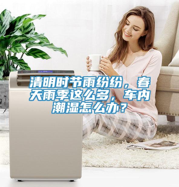清明時(shí)節(jié)雨紛紛，春天雨季這么多，車內(nèi)潮濕怎么辦？
