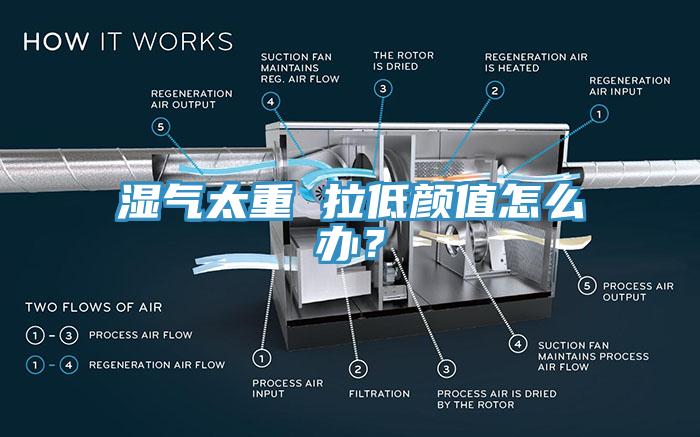 濕氣太重 拉低顏值怎么辦？