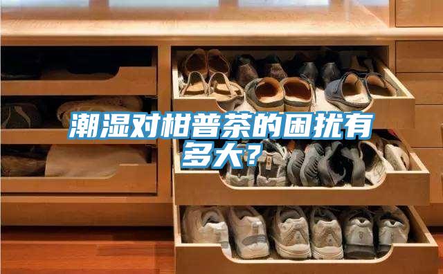 潮濕對柑普茶的困擾有多大？