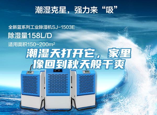 潮濕天打開(kāi)它，家里像回到秋天般干爽